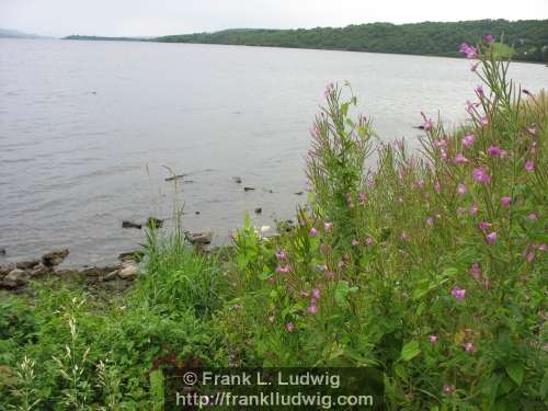 Lough Gill